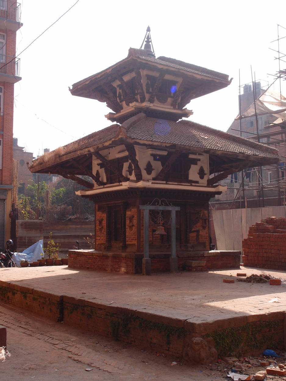 2018-01-19 11 Uhr - Patan (Foto, Video) 